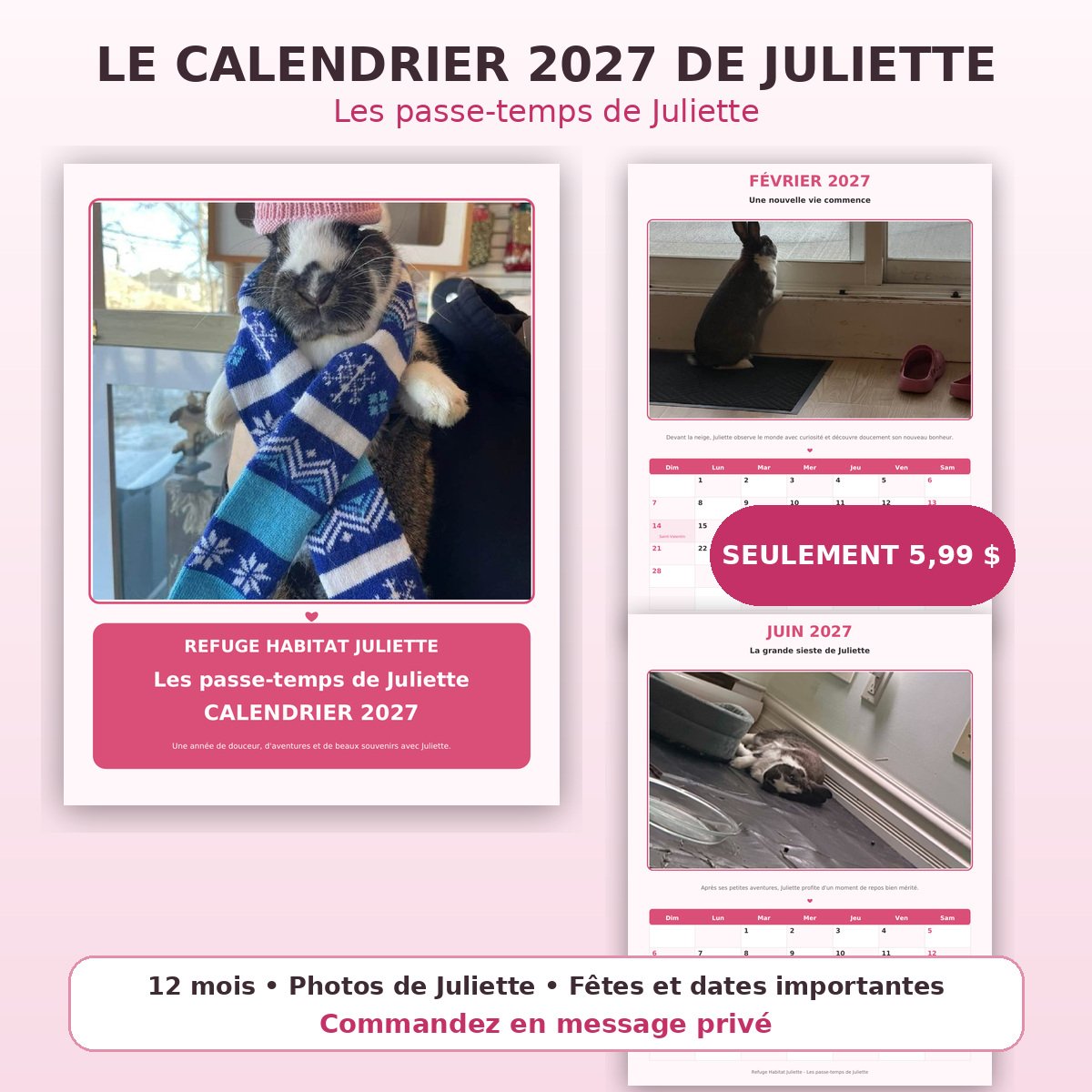 Calendrier 2027 Les passe-temps de Juliette