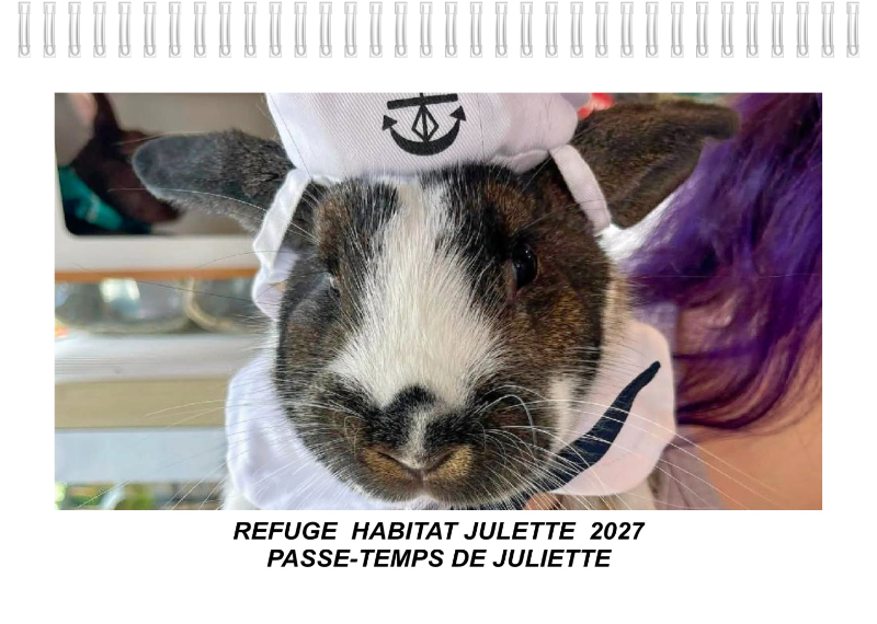Couverture officielle du calendrier 2027 Les passe-temps de Juliette