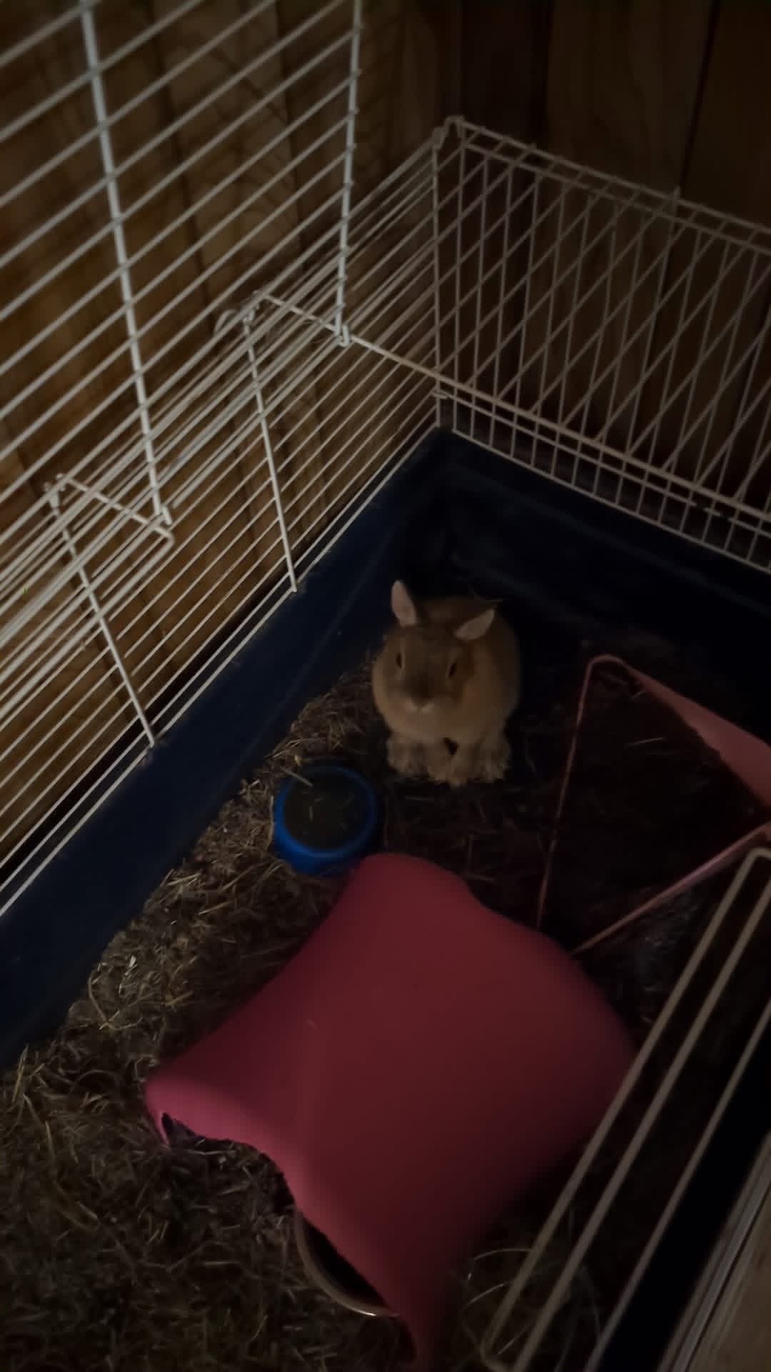 Elvis et Martine 2
