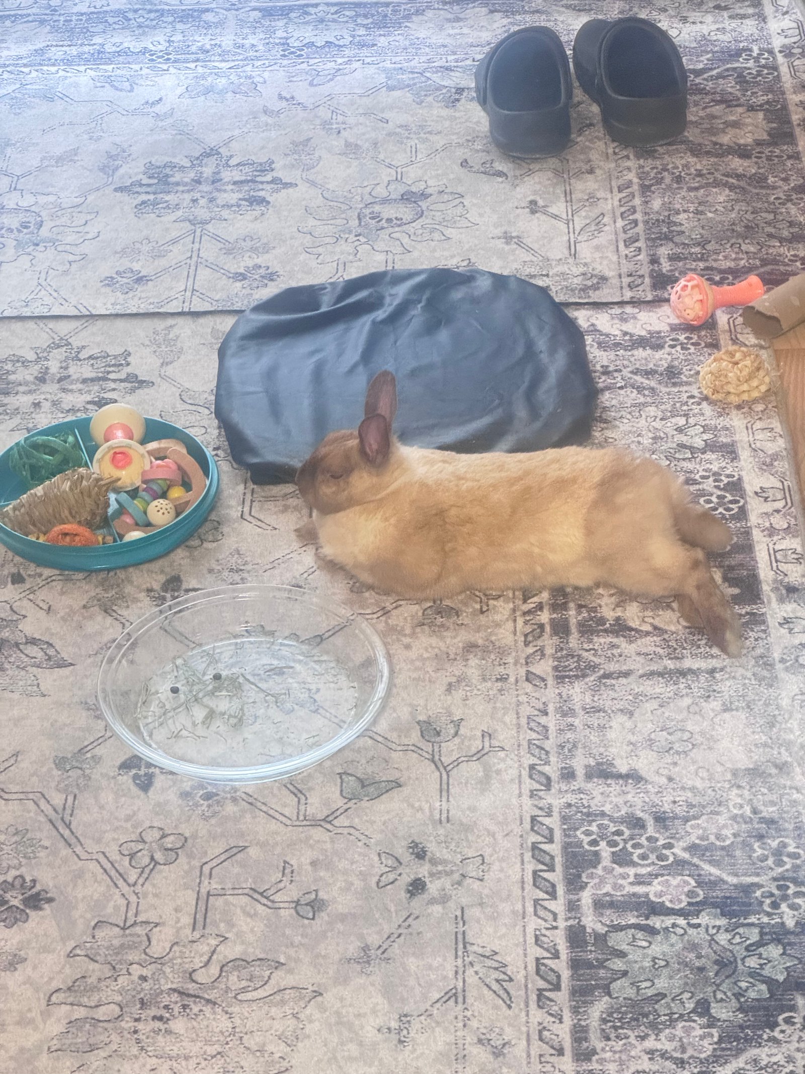 Elvis et Martine 3