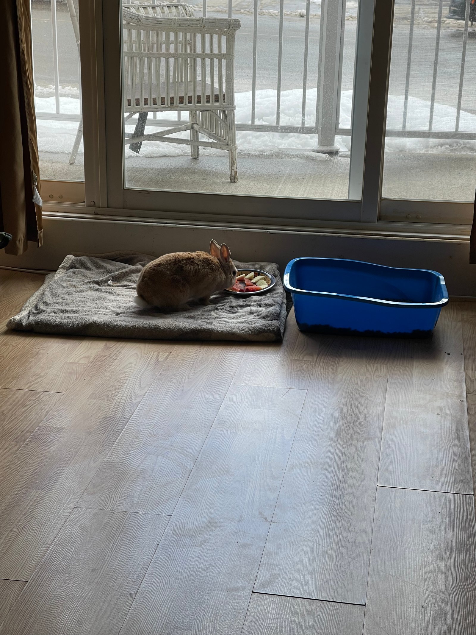 Martin qui mange