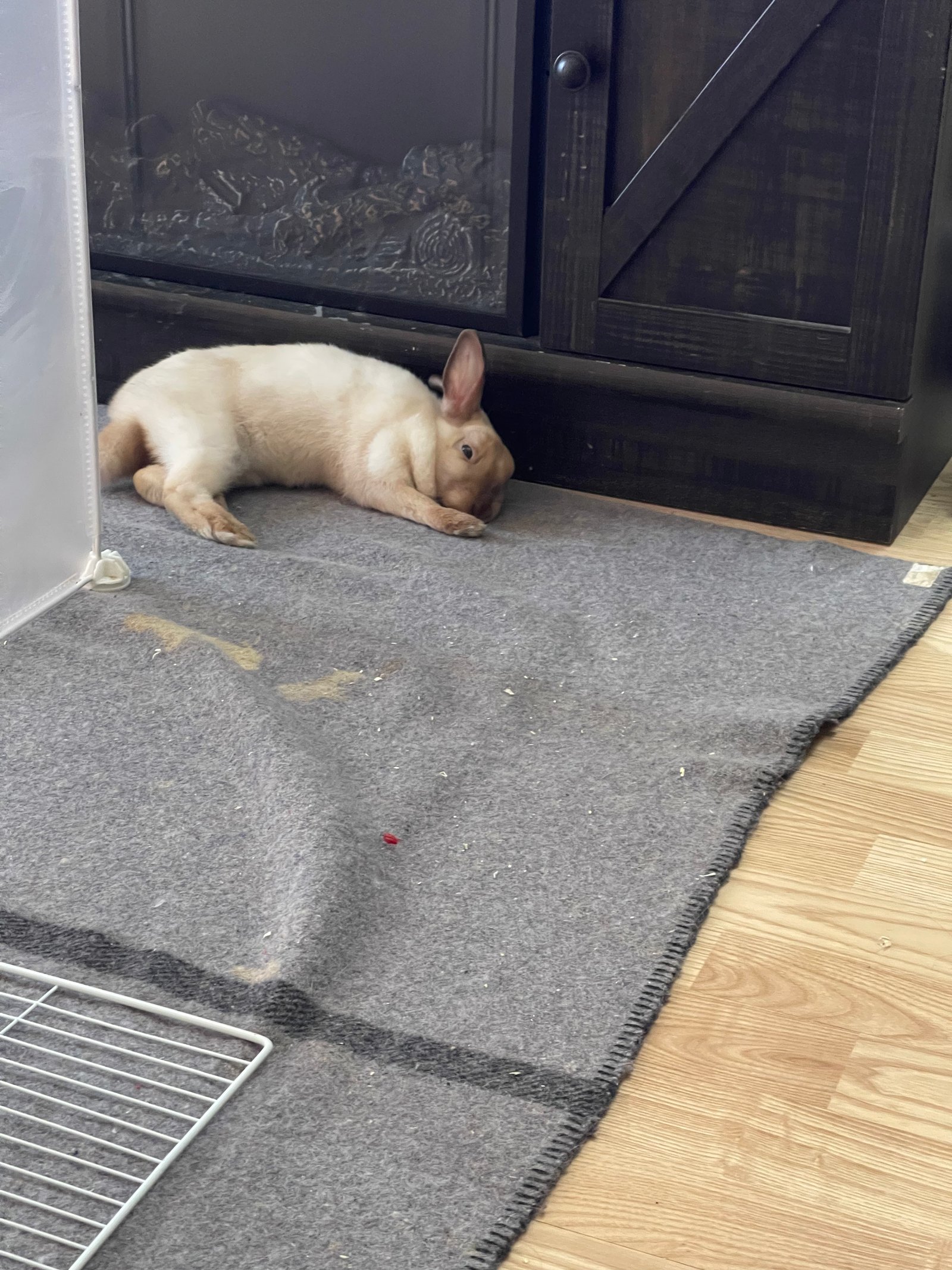 Martine se repose